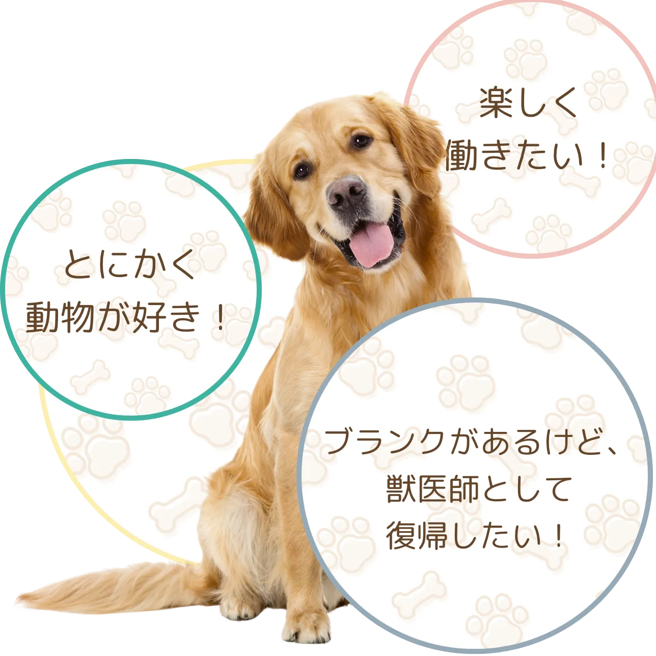 さいたま市のエンゼル動物病院スマートフォン用の画像